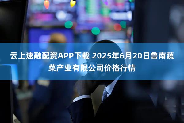 云上速融配资APP下载 2025年6月20日鲁南蔬菜产业有限公司价格行情