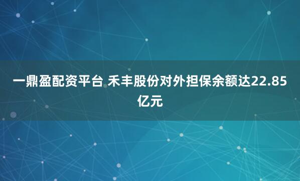 一鼎盈配资平台 禾丰股份对外担保余额达22.85亿元