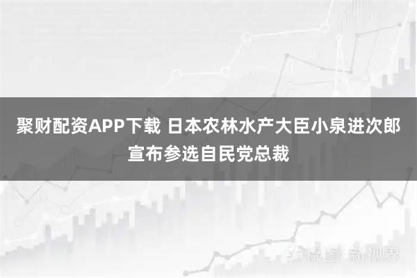 聚财配资APP下载 日本农林水产大臣小泉进次郎宣布参选自民党总裁